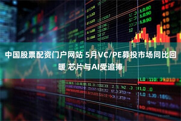 中国股票配资门户网站 5月VC/PE募投市场同比回暖 芯片与AI受追捧